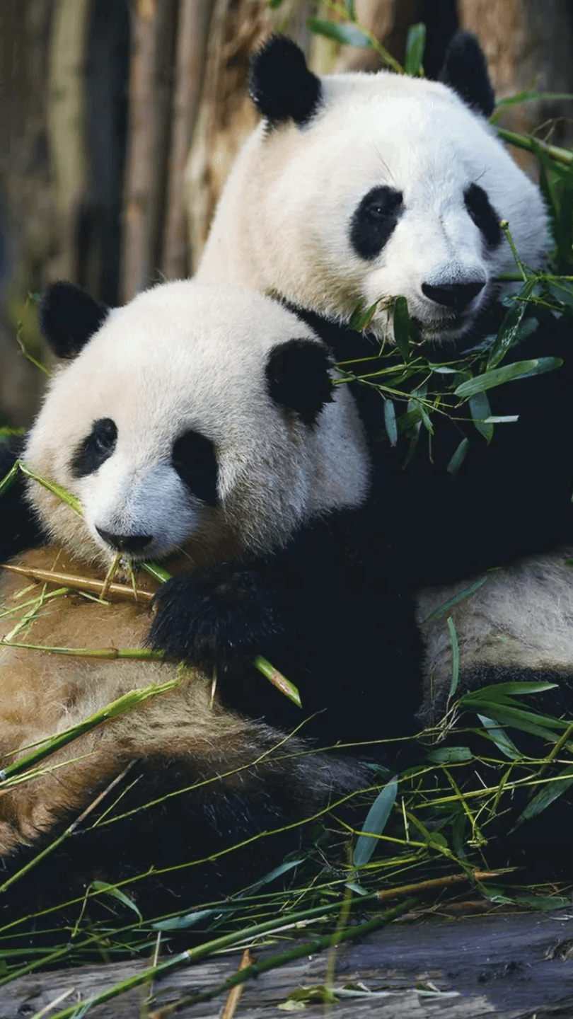 china private tour