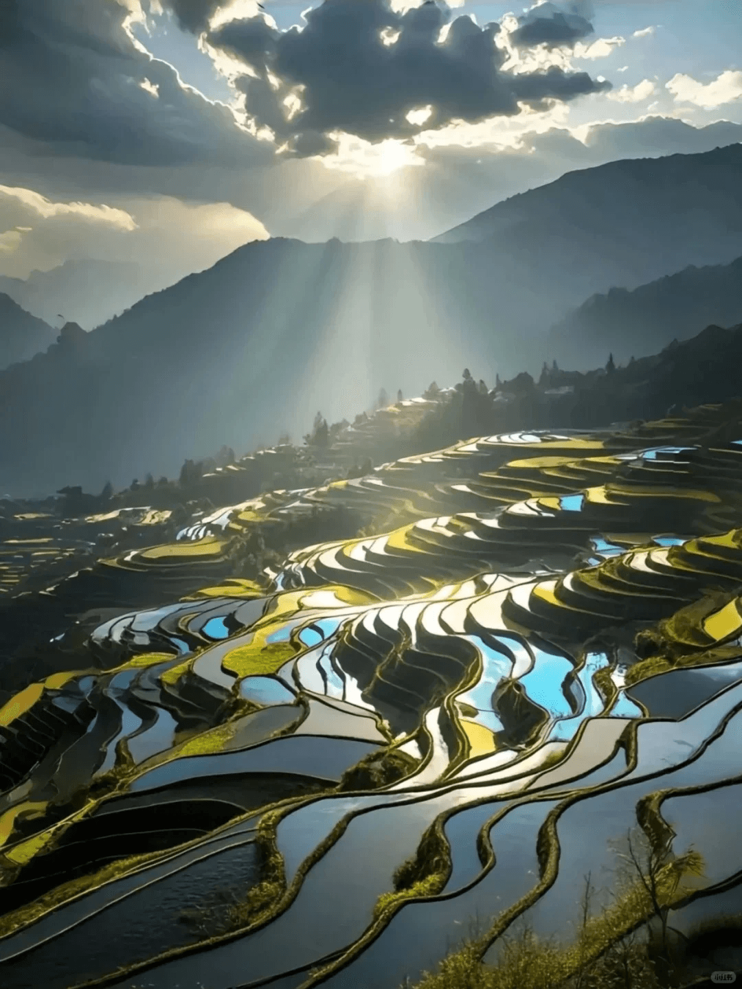 Yunnan Travel Guide