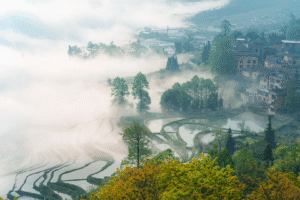 Yunnan Travel Guide
