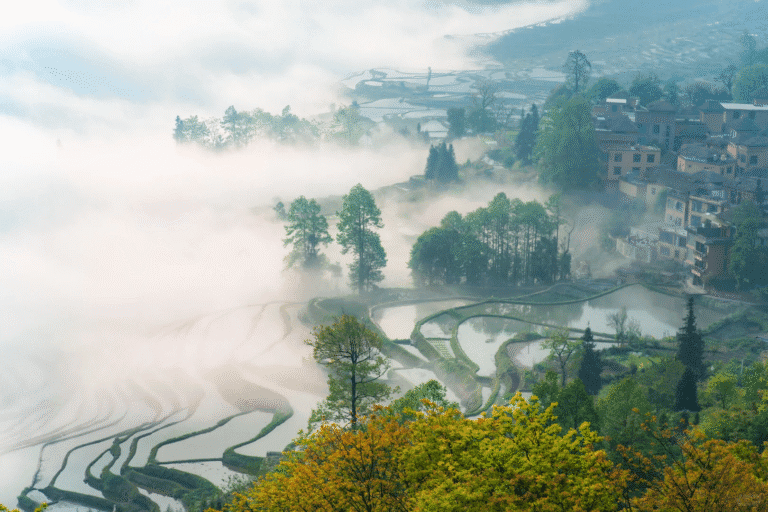 Yunnan Travel Guide