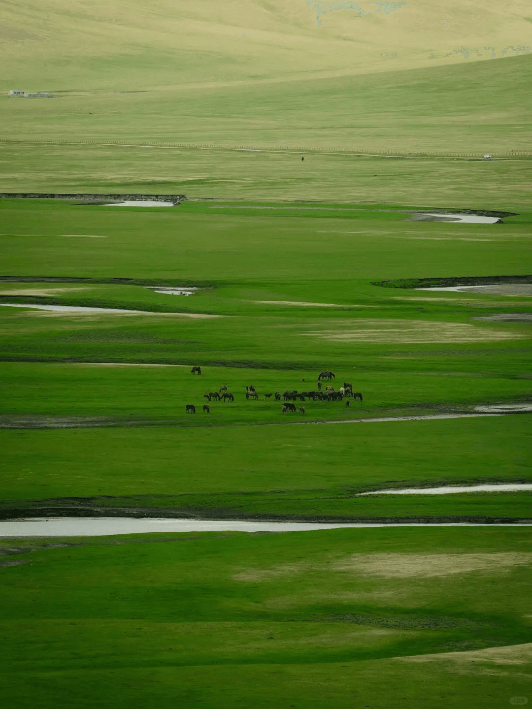 Hulunbuir Grassland Travel Guide