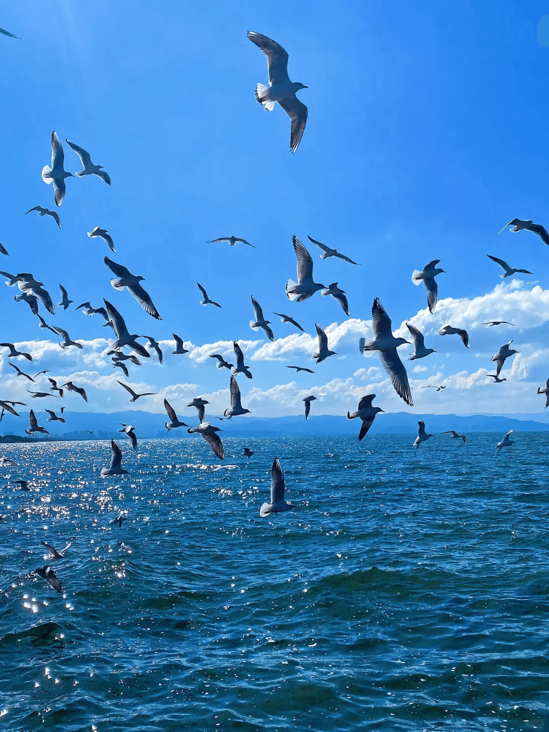 Guided tour of Erhai Lake in Dali China