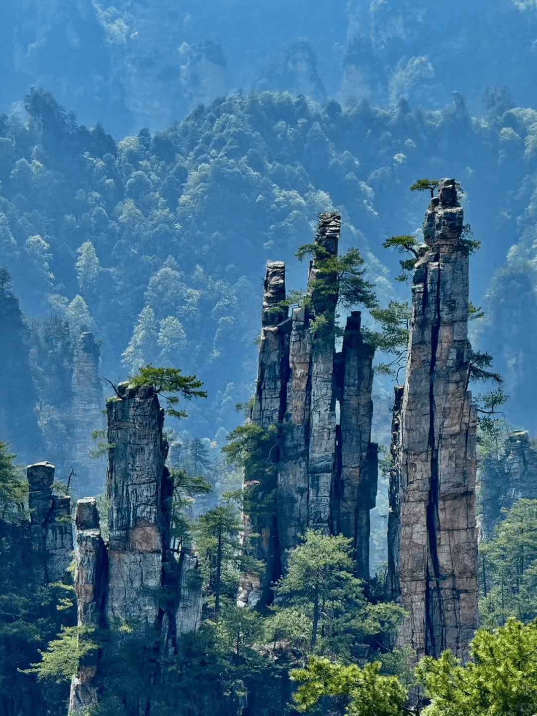 Zhangjiajie Forest Park China Travel Vacation.
